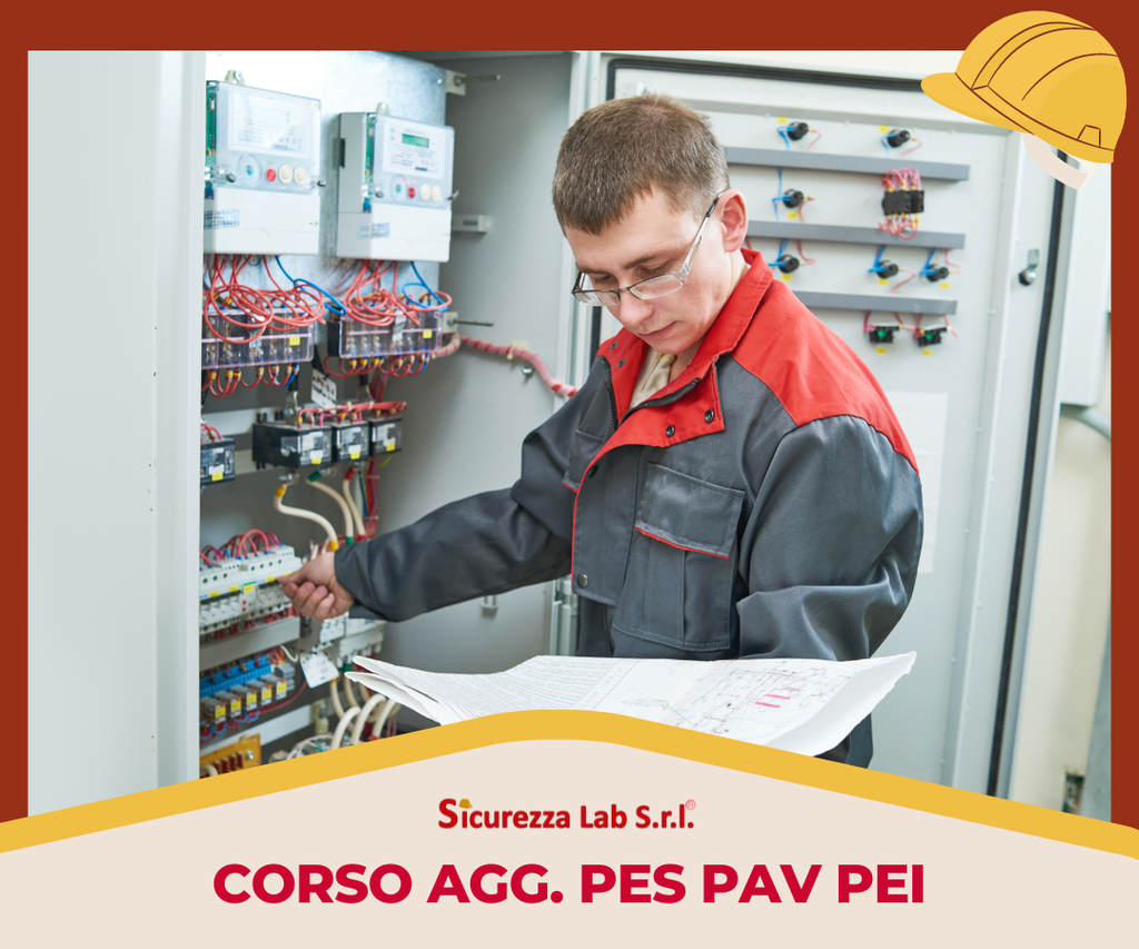 Aggiornamento Corso PES-PAV-PEI 6 ore e-learning