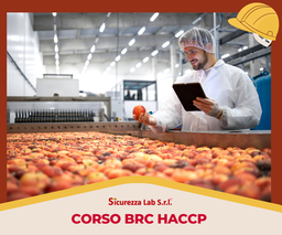 [AF_ELEARNING_BLENDED_071] Corso BRC HACCP 22000:2018 - 16 ore (2 giornate)