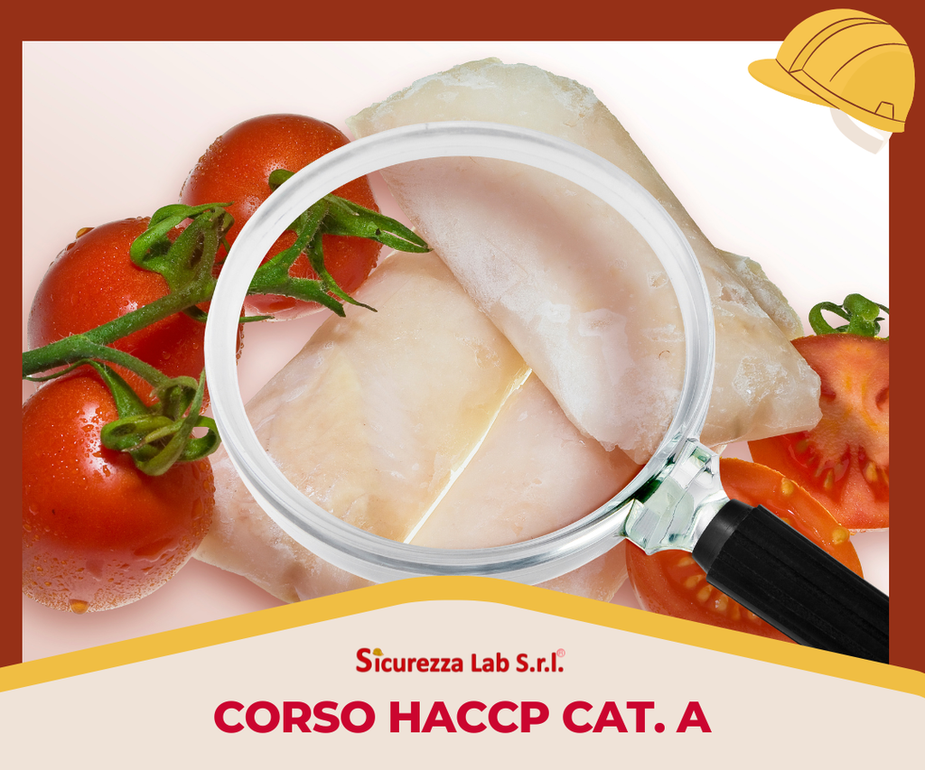 CORSO HACCP CAT. A 12 ORE ALIMENTARISTI CATEGORIA A – AI SENSI DEL REG. CE 852.04 E S.M.I. MODALITÀ E-LEARNING