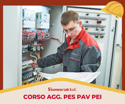 [AF_AULA_ATTR_057] Aggiornamento Corso PES-PAV-PEI 4 ore