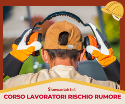 [AF_ELEARNING_BLENDED_023] Corso Formazione Lavoratori Rischio Rumore 1 ora e-learning